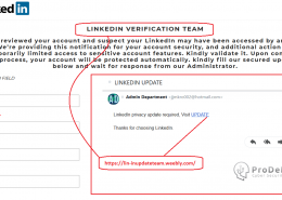 Update linkedin fals pentru furt de date logare