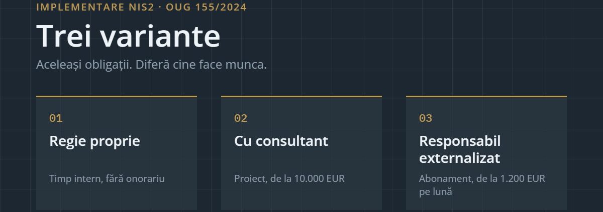 Cele trei variante de implementare NIS2: regie proprie, cu consultant, responsabil NIS2 externalizat prin CISO as a Service