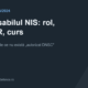 Responsabilul NIS, atribuții, cod COR și cursuri